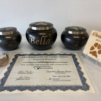 brass urns with paw print lids